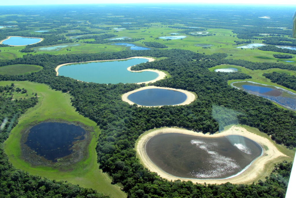 Das Pantanal und Bonito: Unversehrte Natur im mittleren Westen Brasiliens