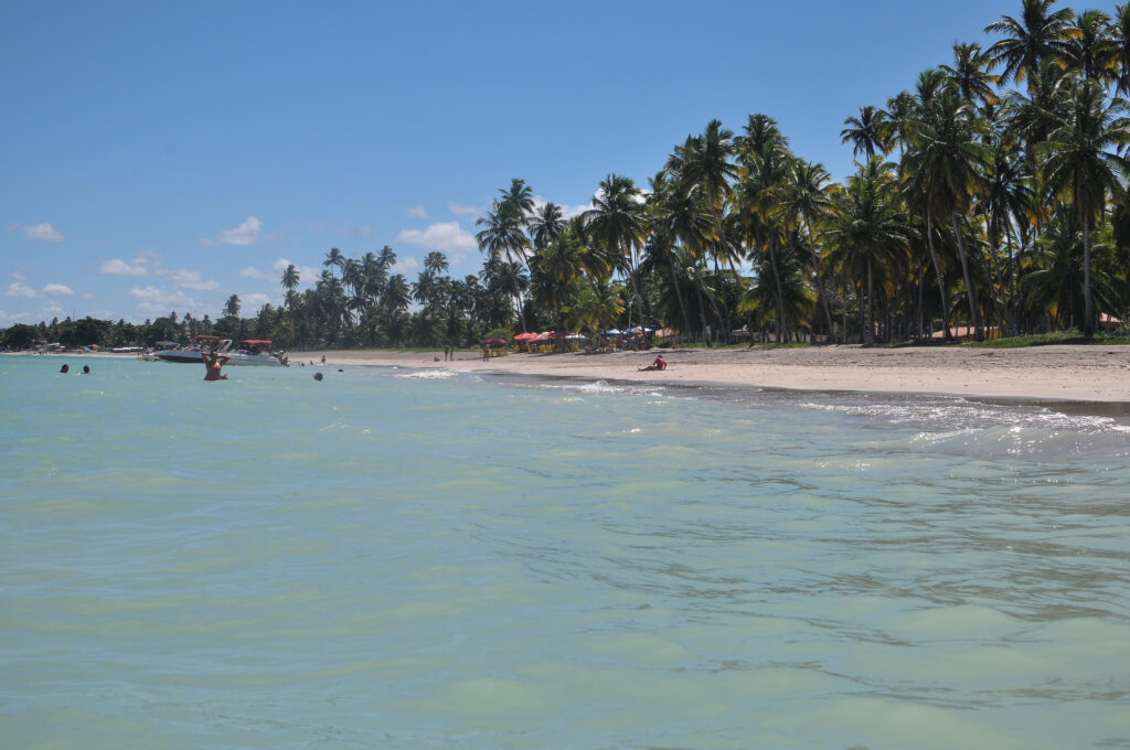 Alagoas im Norden Brasiliens: Postkarten-Strand-Idylle mit grünem Wasser